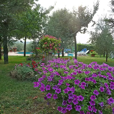 Marcella Cortona